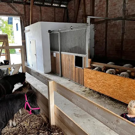 Conzen Hof Am Hennesee Apartamento *