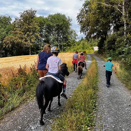 Apartmán Conzen Hof Am Hennesee Erflinghausen