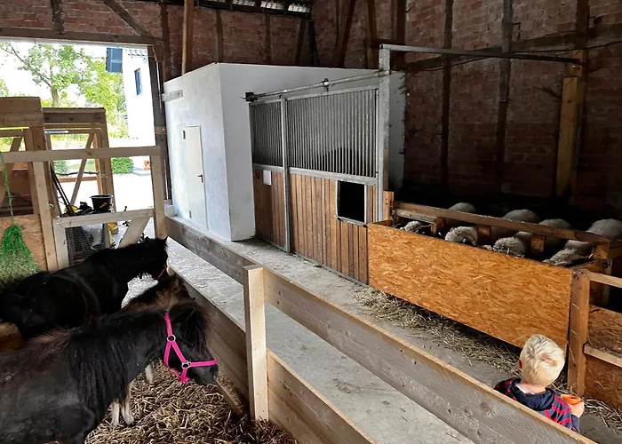 Conzen Hof Am Hennesee شقة *